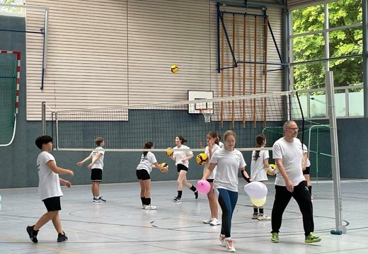 IMG 2953