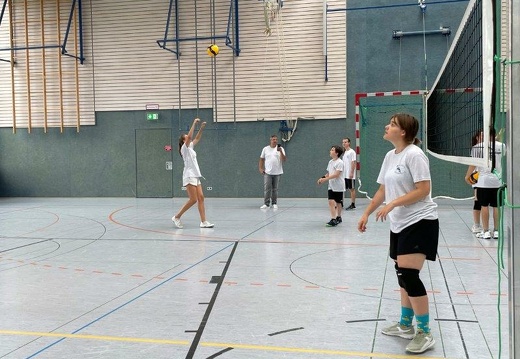 IMG 2956